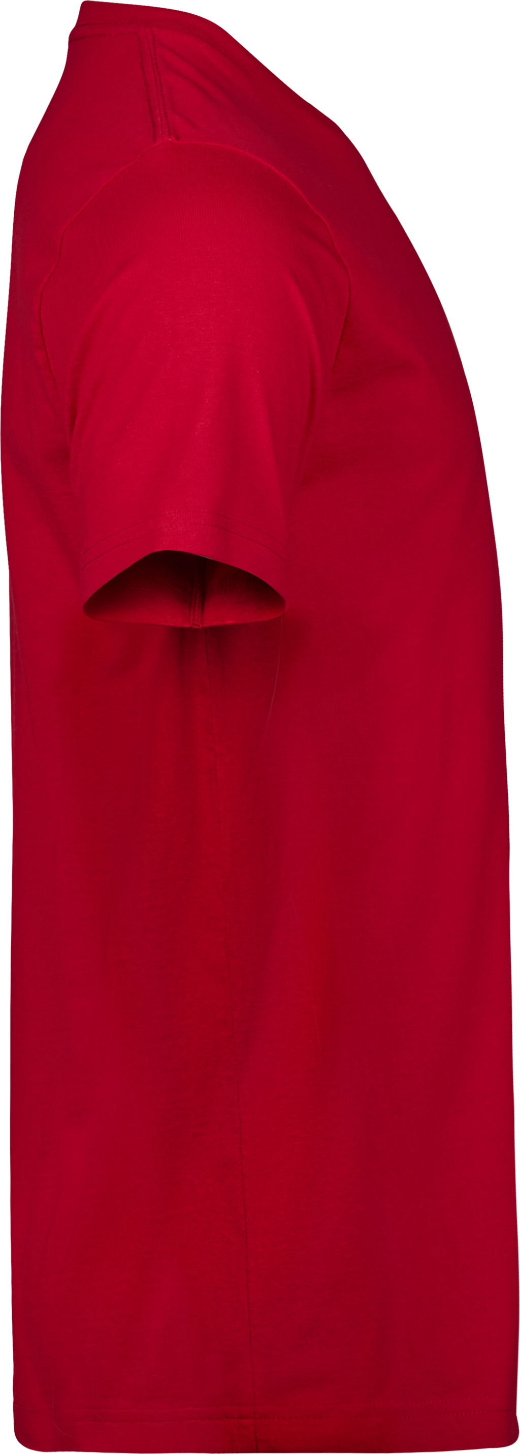 Premium Heavyweight T-shirt, 100% certified Organic Cotton, Tee Jays