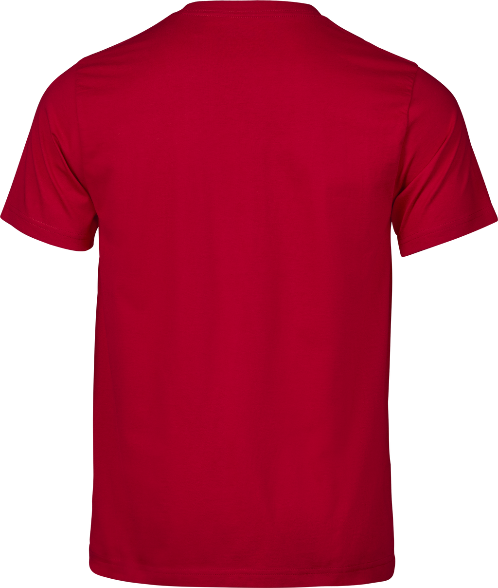 Premium Heavyweight T-shirt, 100% certified Organic Cotton, Tee Jays