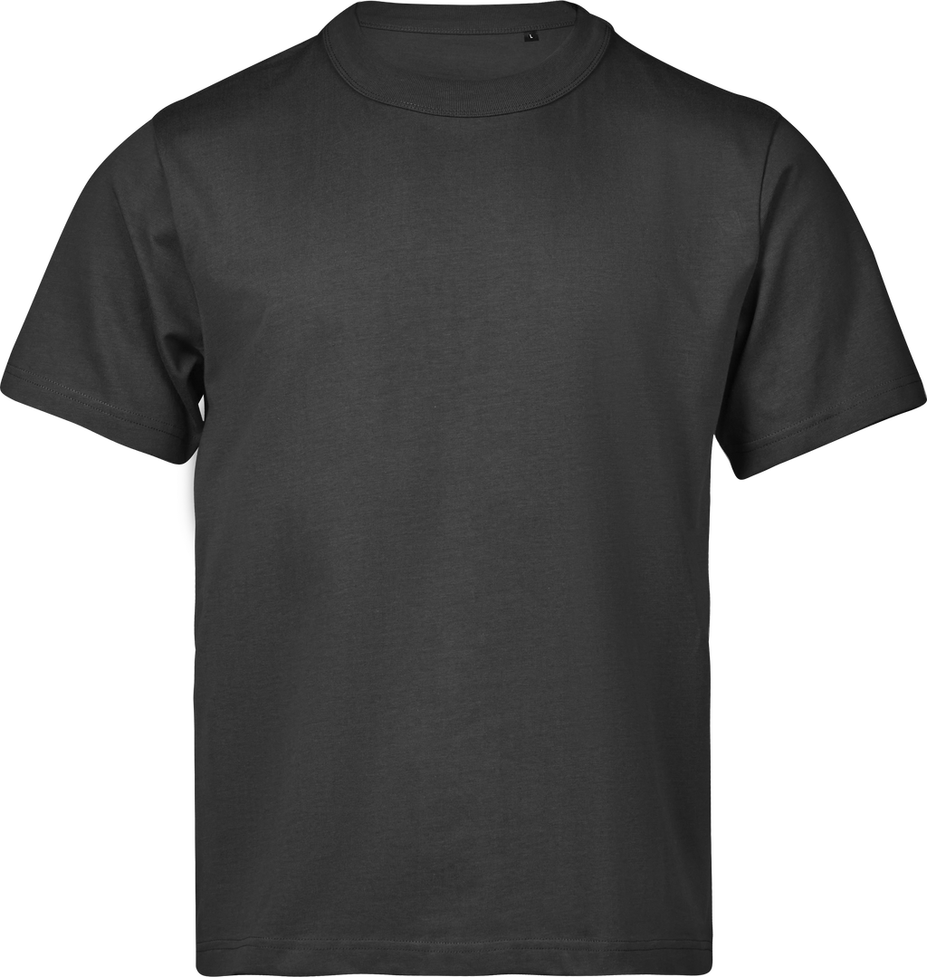 Premium Oversized Heavyweight T-shirt, 100% certified Organic Cotton, Tee Jays