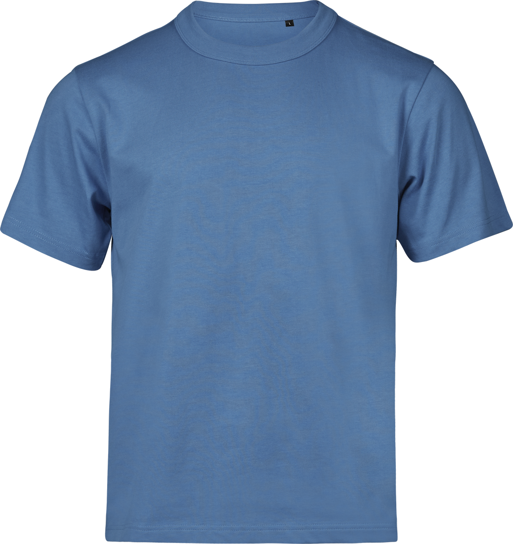 Premium Oversized Heavyweight T-shirt, 100% certified Organic Cotton, Tee Jays