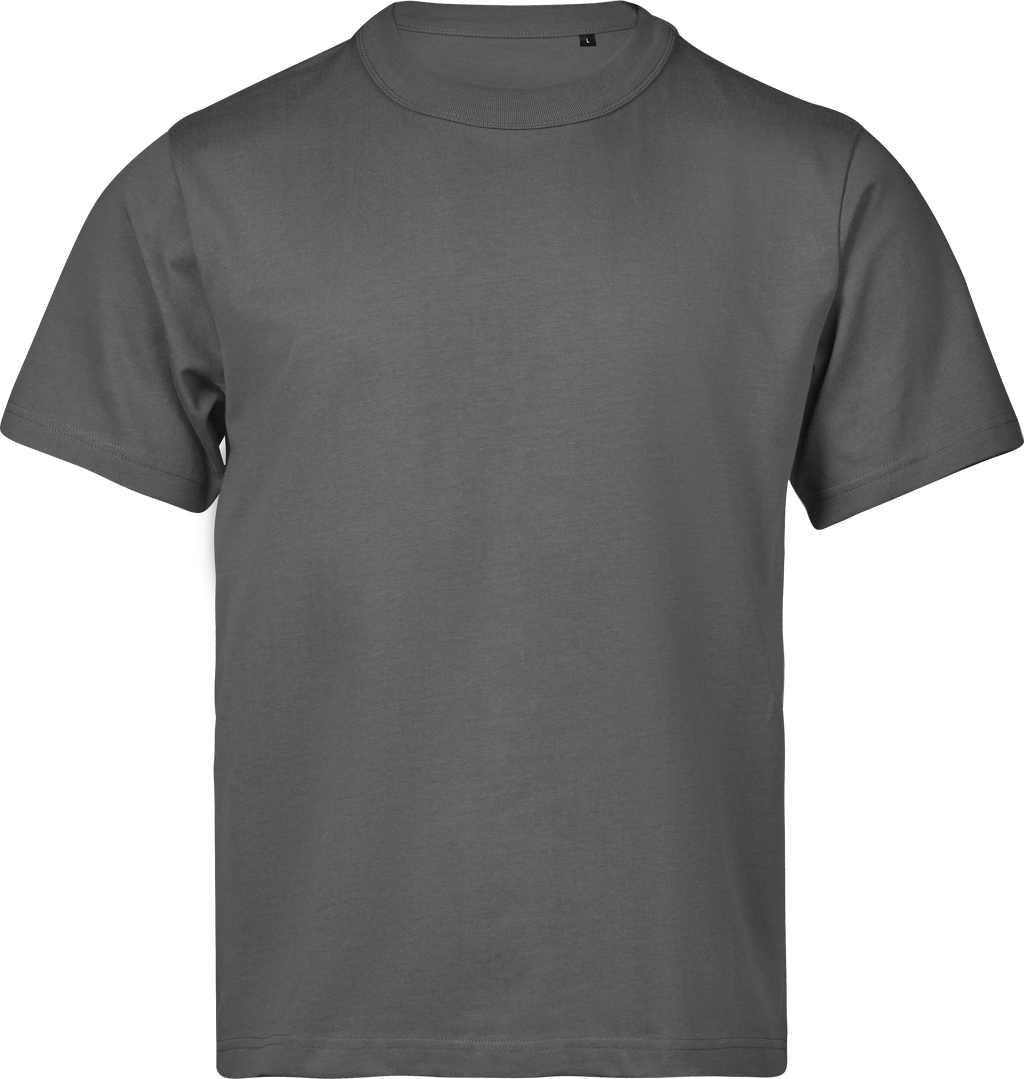 Premium Oversized Heavyweight T-shirt, 100% certified Organic Cotton, Tee Jays