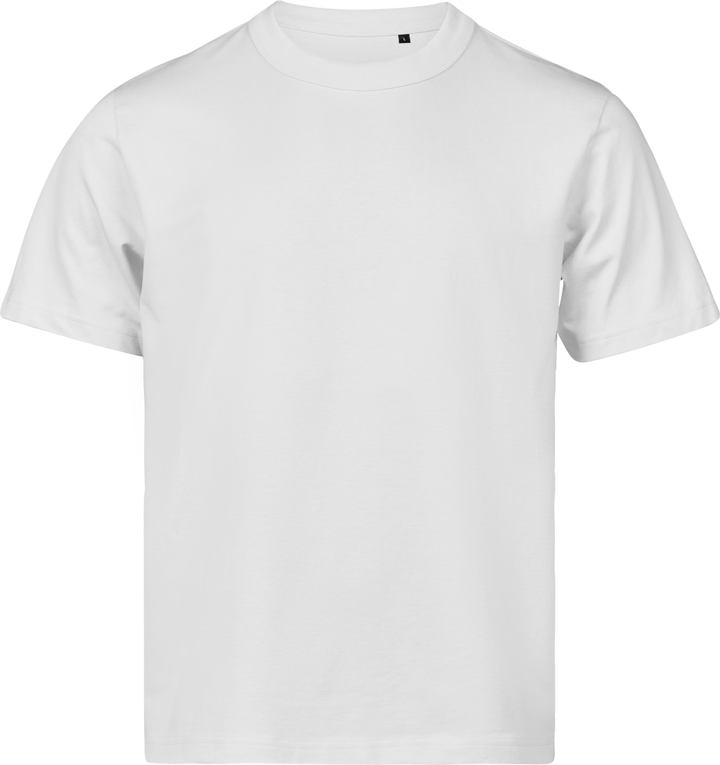 Premium Oversized Heavyweight T-shirt, 100% certified Organic Cotton, Tee Jays