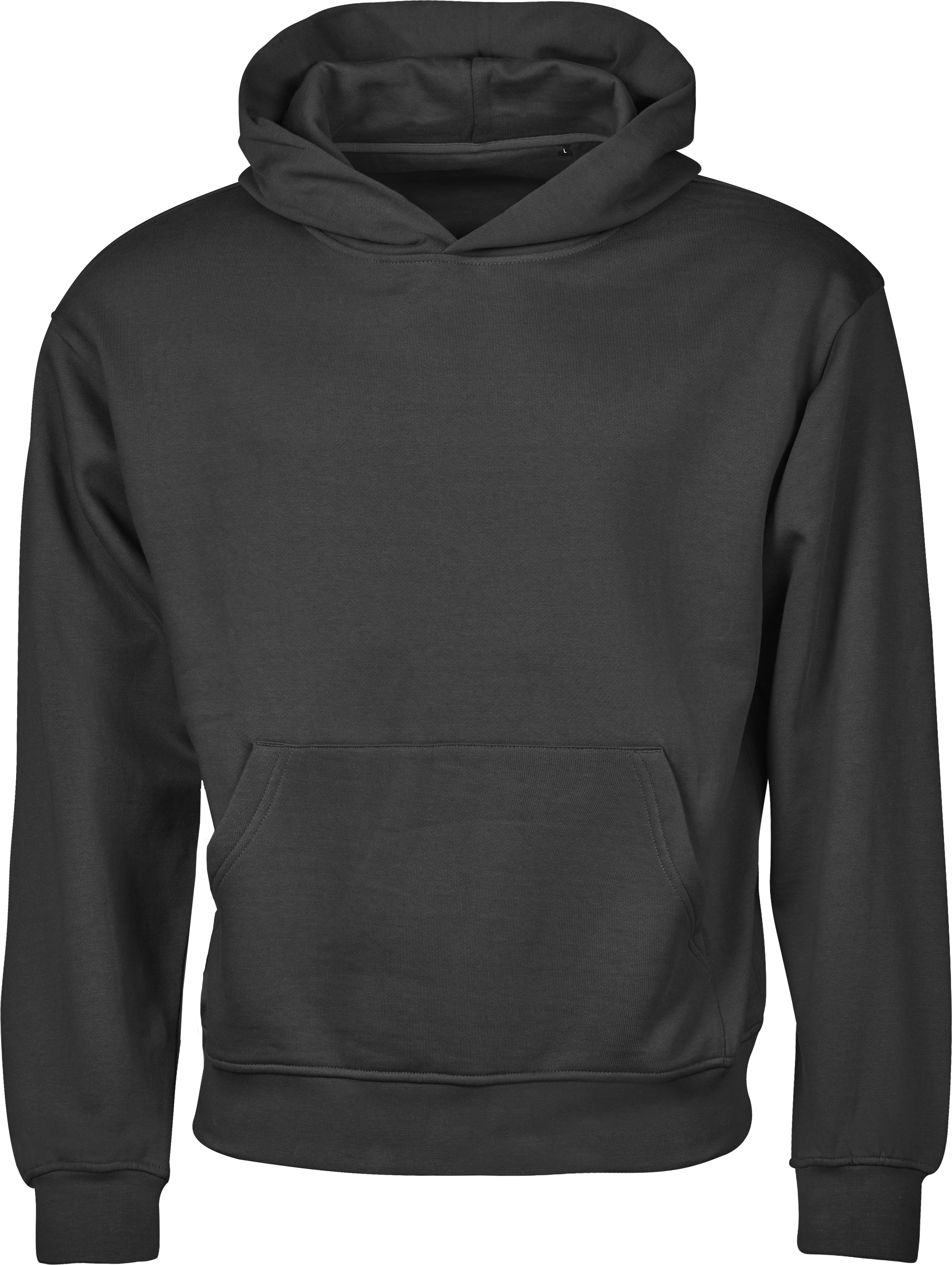 Premium Heavy Loose Fit Hooded Sweatshirt, 100% certifierad ekologisk bomull, Tee Jays