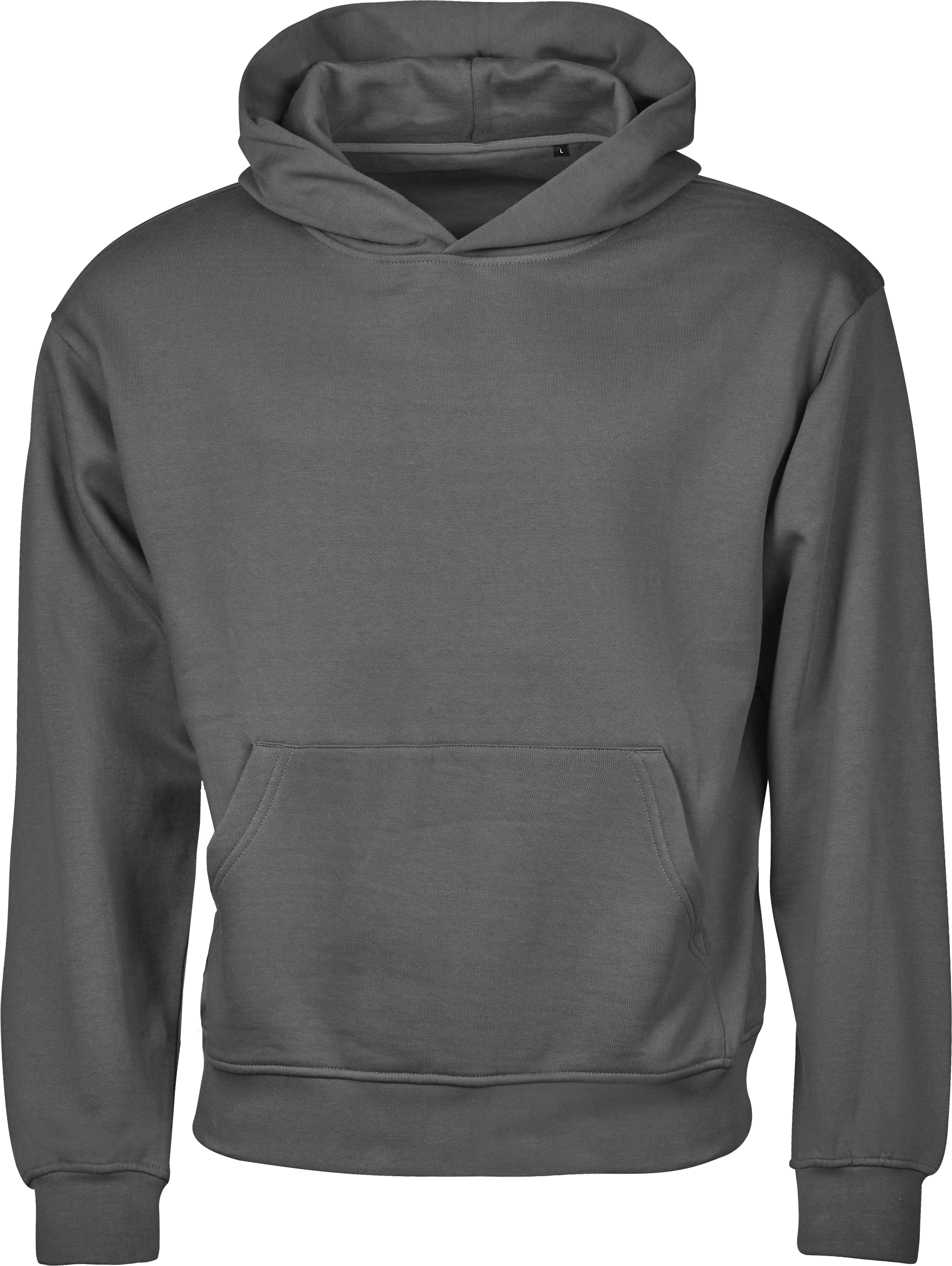 Premium Heavy Loose Fit Hooded Sweatshirt, 100% certifierad ekologisk bomull, Tee Jays